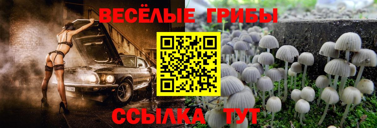 Псилоцибиновые грибы мухоморы  Псилоцибиновые грибы ЛСД  Вход с VPN  Арсеньев 